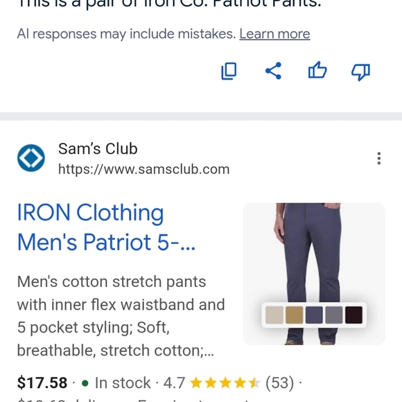 Iron Co. Men's Flexible Pants - Picture 4 of 4